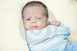 Cute multi-racial Newborn baby boy in a blanket