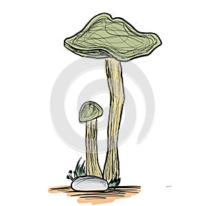Cute Mushroom Isolated on white background.