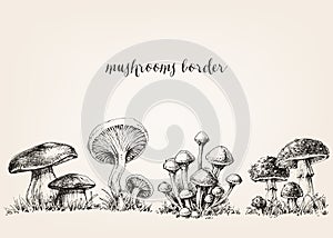 Cute mushrooms drawing