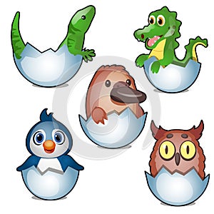 Cute new born animals hatch eggs isolated on white background. Vector cartoon close-up illustration.