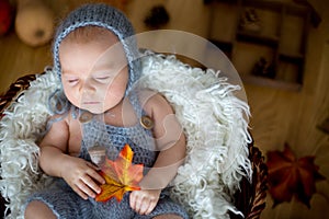 Cute newborn baby boy, sleeping with autumn leaves in a basket a