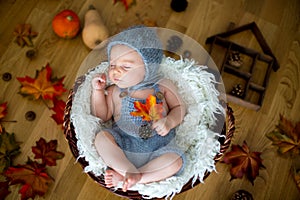 Cute newborn baby boy, sleeping with autumn leaves in a basket a