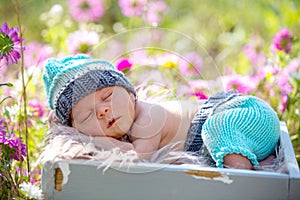 Cute newborn baby boy, sleeping peacefully in basket in garden