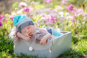 Cute newborn baby boy, sleeping peacefully in basket in garden