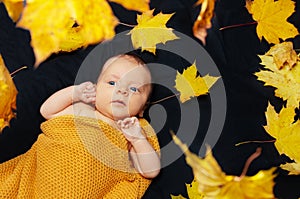 Cute newborn baby lay in autumn maple leaves