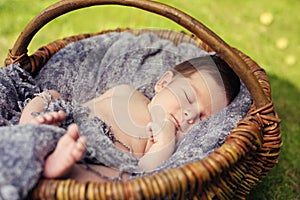 Cute newborn baby sleeping in basket