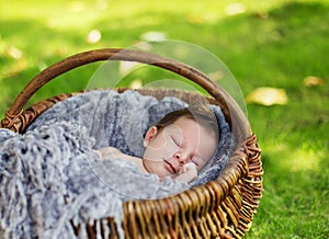Cute newborn baby sleeping in basket