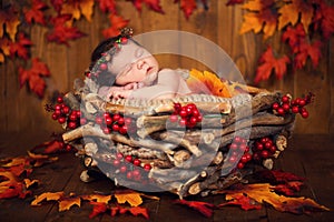 Cute newborn baby in a wreath of cones and berries in a basket with autumn leaves
