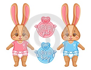 Cute newborn bunny, baby shower. Announcement child birth. It`s boy, girl. New born daughter, son. Infant rabbit twins. Vector