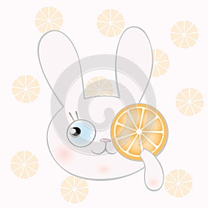 Cute newborn bunny with orange