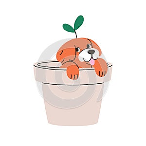Cute newborn puppy. Funny small dog peeking out from plant pot. Little amusing tiny pup in planter. Happy joyful excited