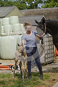 Cute newborn riding horse colt stands next to a woman in the grass. At the farmyard, yellow dun color. Dog behind the foal