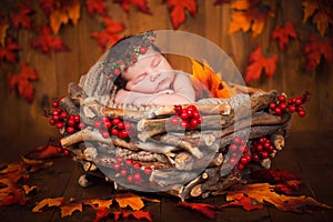 Cute newborn in a wreath of cones and berries in a wooden nest with autumn leaves.