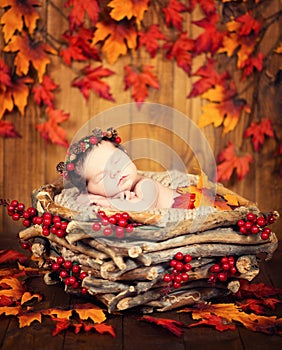 Cute newborn in a wreath of cones and berries in a wooden nest with autumn leaves.