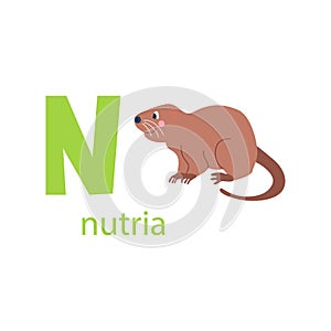 Cute nutria card. Alphabet with animals. Colorful design for teaching children the alphabet, learning English. Vector