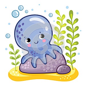 Cute octopus sits on a rock.