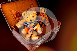 cute old vintage teddy bears sitting inside an old suitcase holding a violin