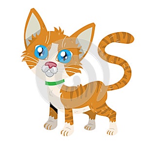 Cute orange cat with big blue eyes