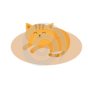 Cute orange cat lying sleeping on oval carpet rug mat. Moustache whisker. Funny cartoon character. White background. . Fla