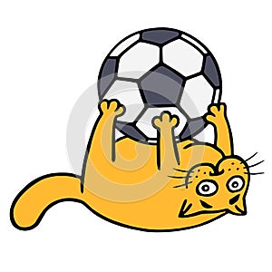 Cute orange cat is playing with a soccer ball. Vector illustration