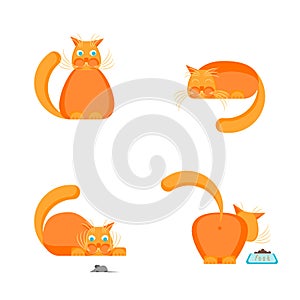 Cute Orange Cat Set. Vector