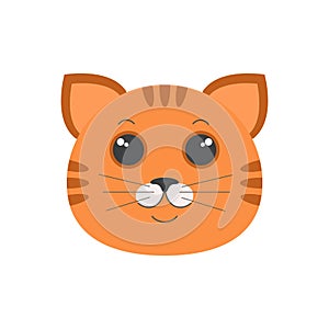 Cute orange cat striped face, funny portrait of ginger kitten