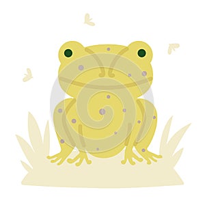Cute orange frog vector illustration.
