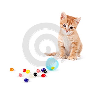 Cute orange kitten with large paws sitting next to spilled jelly