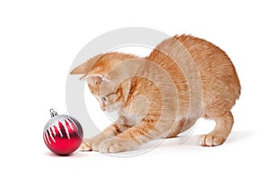 Cute Orange Kitten Playing with a Christmas Orname