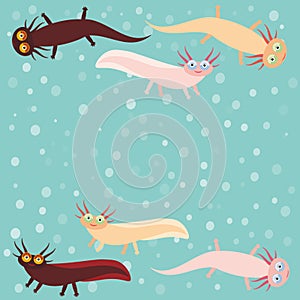 Cute orange pink brown Axolotl Cartoon character on blue background in the aquarium (Mexican salamander, Ambystoma mexicanum) aqua