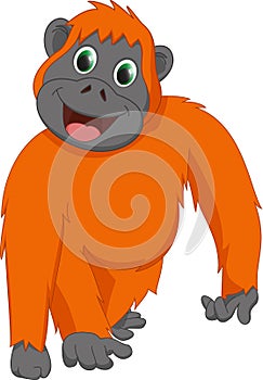 Cute orangutan cartoon