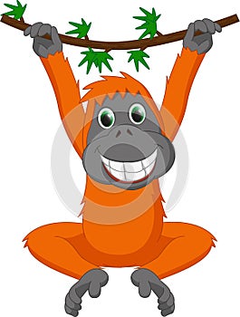 Cute orangutan cartoon hanging
