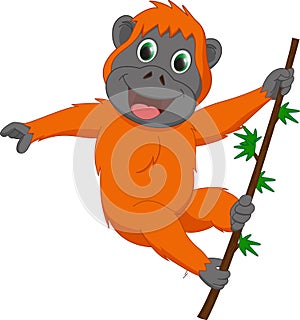 Cute orangutan cartoon hanging