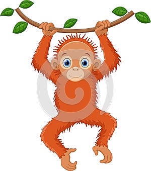 Cute orangutan cartoon hanging on tree branch photo
