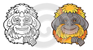 Cute orangutan monkey, funny illustration