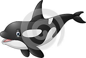 Cute orca on white background