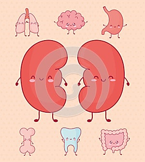 cute organs bundle