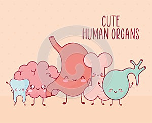 cute organs poster