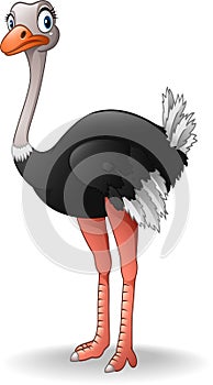 Cute ostrich cartoon