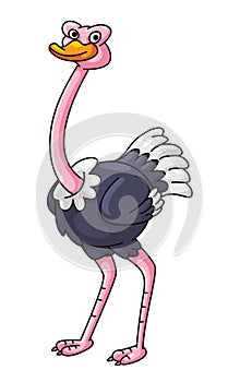 Cute Ostritch Standing Cartoon Color Illustration Design