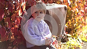 Cute outdoor portrait of child in autumn. Children throwing yellow and red leaves. Waiting in autumn park. Autumn kid.