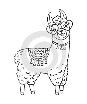 Cute outline doodle llama in sunglasses with hand drawn elements photo