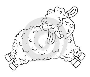 Cute outline doodle sheep jumps. Hand drawn elements