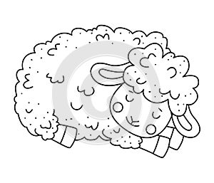 Cute outline doodle sheep sleeps. Hand drawn elements photo
