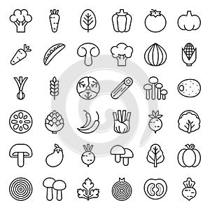 Cute line vegetable icon set, vector illustration