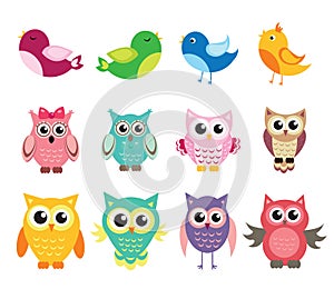 Cute owl and birds set of vector illustration