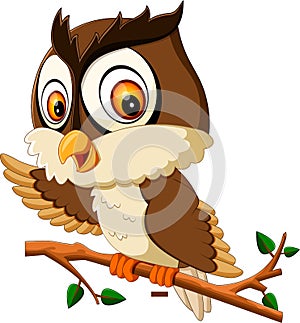 Cute owl cartoon