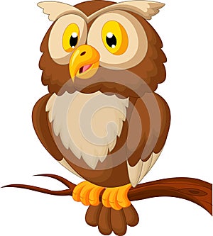 Cute owl cartoon photo