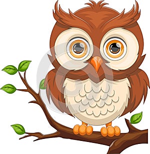 cute owl cartoon on tree branch