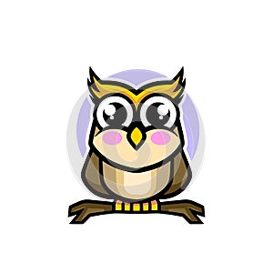 Cute owl chubby mascot cartoon design illustration